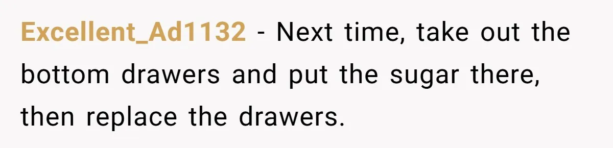 Roommates Leave The Kitchen A Mess, So She Decides To Feed The Ants Before Moving Out Excellent_Ad1132 − Next time, take out the bottom drawers and put the sugar there, then replace the drawers.