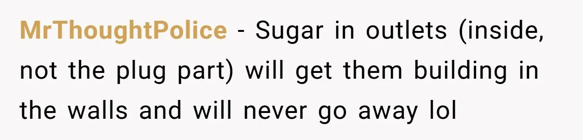 Roommates Leave The Kitchen A Mess, So She Decides To Feed The Ants Before Moving Out MrThoughtPolice − Sugar in outlets (inside, not the plug part) will get them building in the walls and will never go away lol
