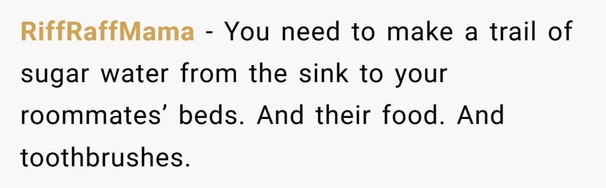 Roommates Leave The Kitchen A Mess, So She Decides To Feed The Ants Before Moving Out RiffRaffMama − You need to make a trail of sugar water from the sink to your roommates’ beds. And their food. And toothbrushes.