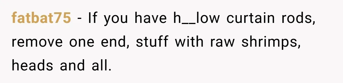 Roommates Leave The Kitchen A Mess, So She Decides To Feed The Ants Before Moving Out fatbat75 − If you have h__low curtain rods, remove one end, stuff with raw shrimps, heads and all.