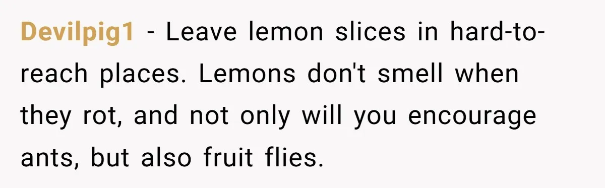 Roommates Leave The Kitchen A Mess, So She Decides To Feed The Ants Before Moving Out Devilpig1 − Leave lemon slices in hard-to-reach places. Lemons don't smell when they rot, and not only will you encourage ants, but also fruit flies.