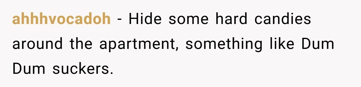 Roommates Leave The Kitchen A Mess, So She Decides To Feed The Ants Before Moving Out ahhhvocadoh − Hide some hard candies around the apartment, something like Dum Dum suckers.
