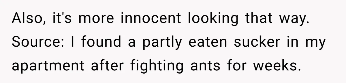 Roommates Leave The Kitchen A Mess, So She Decides To Feed The Ants Before Moving Out Also, it's more innocent looking that way. Source: I found a partly eaten sucker in my apartment after fighting ants for weeks.