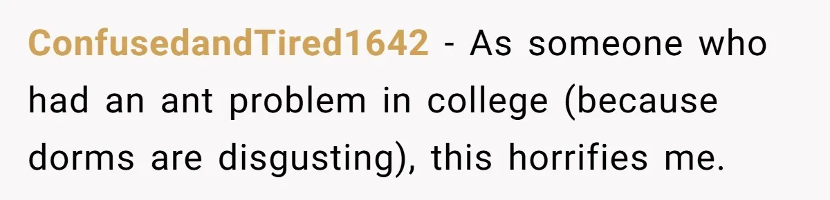 Roommates Leave The Kitchen A Mess, So She Decides To Feed The Ants Before Moving Out ConfusedandTired1642 − As someone who had an ant problem in college (because dorms are disgusting), this horrifies me.