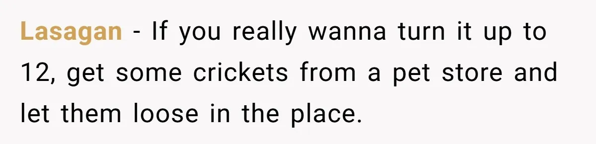 Roommates Leave The Kitchen A Mess, So She Decides To Feed The Ants Before Moving Out Lasagan − If you really wanna turn it up to 12, get some crickets from a pet store and let them loose in the place.