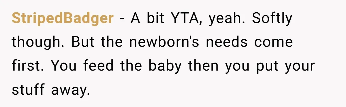 StripedBadger − A bit YTA, yeah. Softly though. But the newborn's needs come first. You feed the baby then you put your stuff away.
