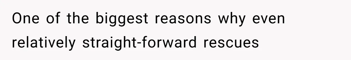 Man’s Past Trauma Brought Up As A Joke. Now His Friend’s Mad For Leaving Without A Word One of the biggest reasons why even relatively straight-forward rescues