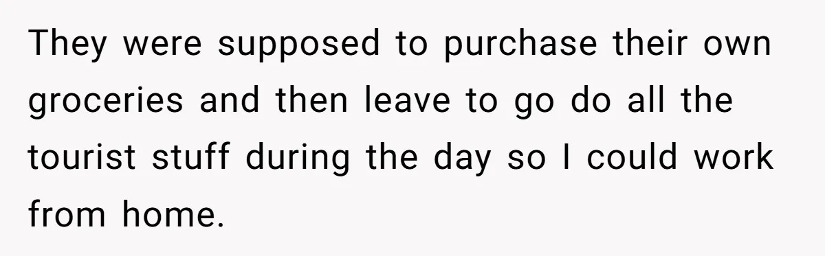 They were supposed to purchase their own groceries and then leave to go do all the tourist stuff during the day so I could work from home.
