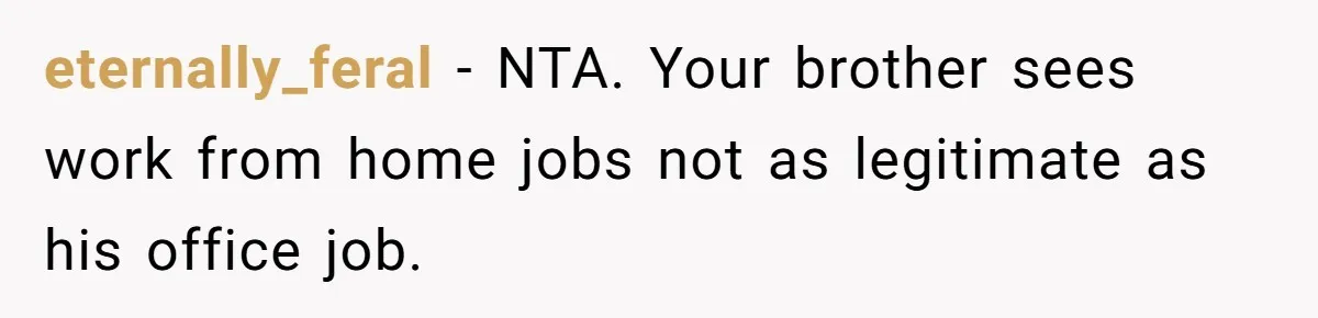 eternally_feral − NTA. Your brother sees work from home jobs not as legitimate as his office job.