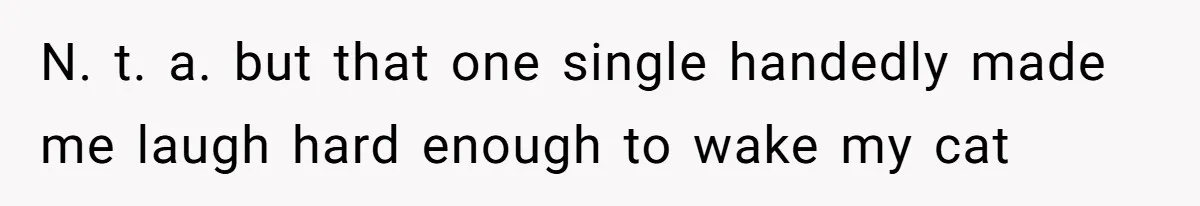 N. t. a. but that one single handedly made me laugh hard enough to wake my cat