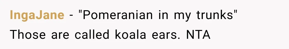 IngaJane − "Pomeranian in my trunks" Those are called koala ears. NTA