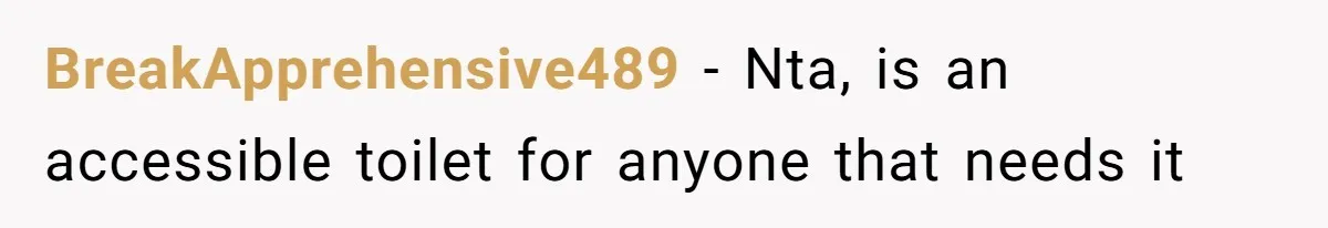 BreakApprehensive489 − Nta, is an accessible toilet for anyone that needs it