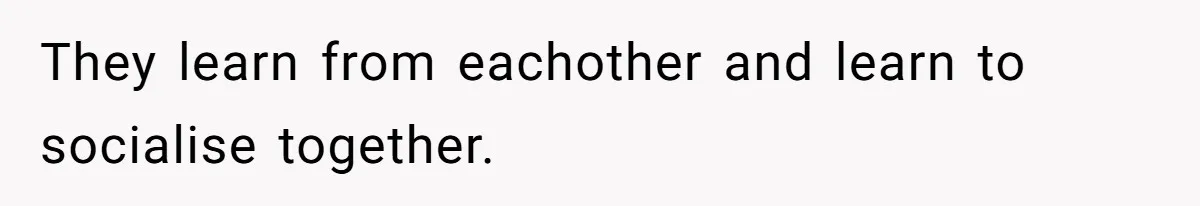 They learn from eachother and learn to socialise together.