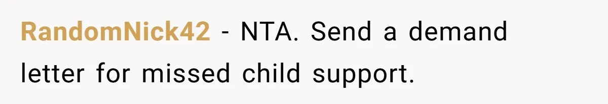 RandomNick42 − NTA. Send a demand letter for missed child support.