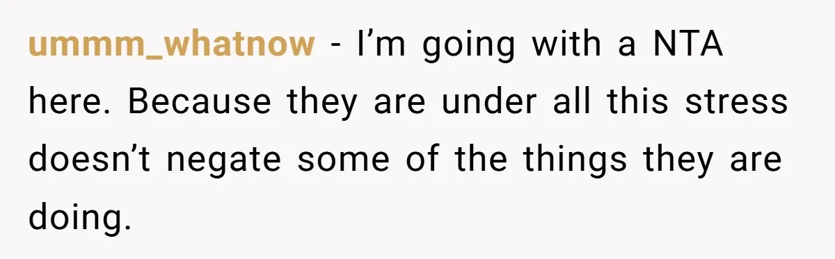 ummm_whatnow − I’m going with a NTA here. Because they are under all this stress doesn’t negate some of the things they are doing.