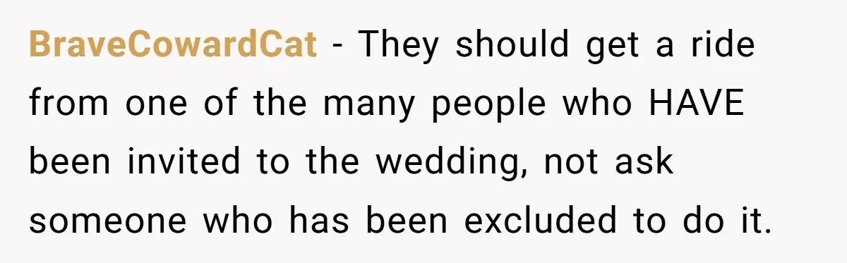 BraveCowardCat − They should get a ride from one of the many people who HAVE been invited to the wedding, not ask someone who has been excluded to do it.