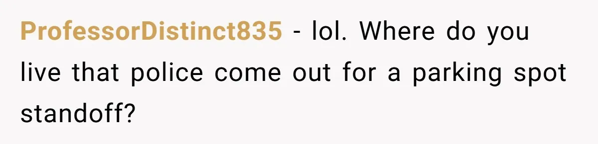 ProfessorDistinct835 − lol. Where do you live that police come out for a parking spot standoff?