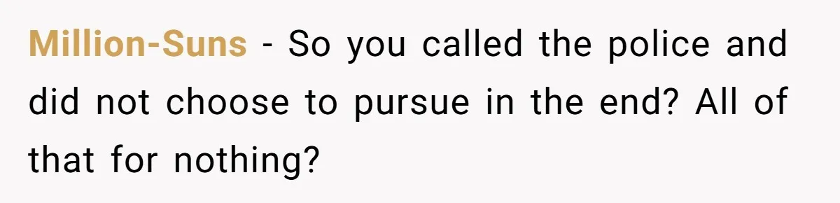 Million-Suns − So you called the police and did not choose to pursue in the end? All of that for nothing?
