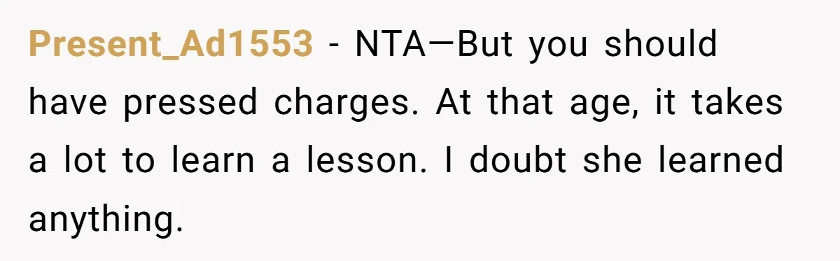Present_Ad1553 − NTA—But you should have pressed charges. At that age, it takes a lot to learn a lesson. I doubt she learned anything.