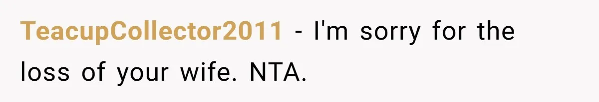 TeacupCollector2011 − I'm sorry for the loss of your wife. NTA.