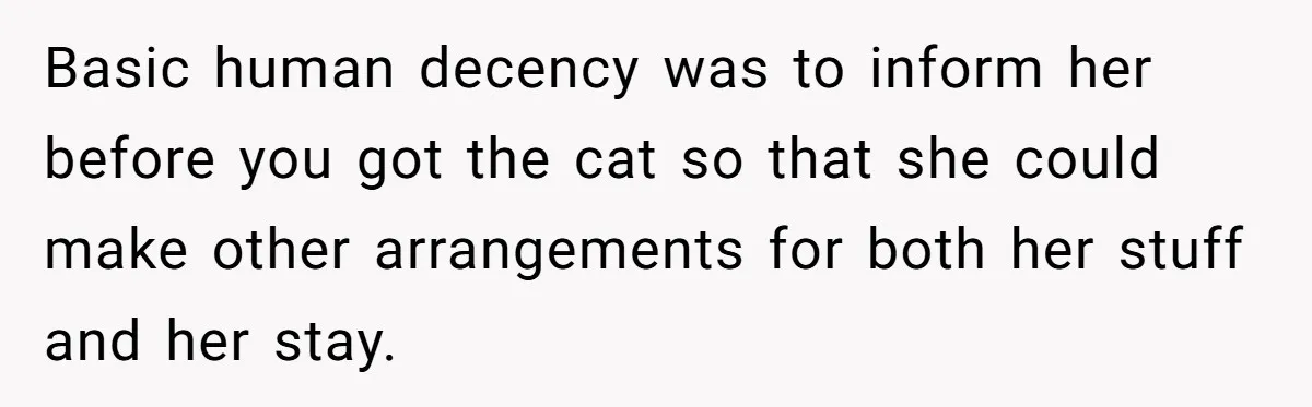 Woman Gets A Cat After Her Roommate Moves Out, But Her Friend Thinks She’s Being Inconsiderate, Who’s Right? Basic human decency was to inform her before you got the cat so that she could make other arrangements for both her stuff and her stay.