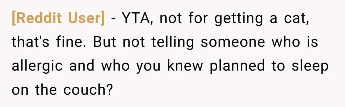 [Reddit User] − YTA, not for getting a cat, that's fine. But not telling someone who is allergic and who you knew planned to sleep on the couch?