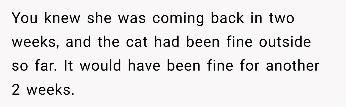 Woman Gets A Cat After Her Roommate Moves Out, But Her Friend Thinks She’s Being Inconsiderate, Who’s Right? You knew she was coming back in two weeks, and the cat had been fine outside so far. It would have been fine for another 2 weeks.