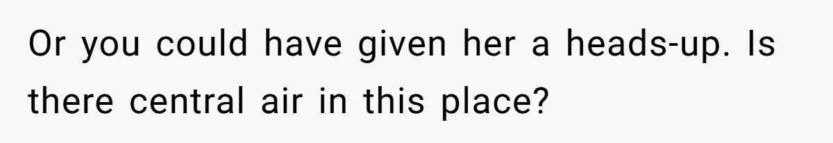 Woman Gets A Cat After Her Roommate Moves Out, But Her Friend Thinks She’s Being Inconsiderate, Who’s Right? Or you could have given her a heads-up. Is there central air in this place?