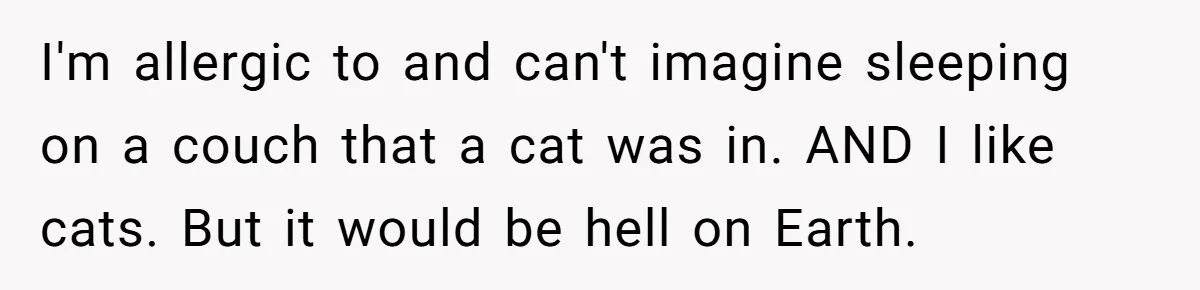 Woman Gets A Cat After Her Roommate Moves Out, But Her Friend Thinks She’s Being Inconsiderate, Who’s Right? I'm allergic to and can't imagine sleeping on a couch that a cat was in. AND I like cats. But it would be hell on Earth.