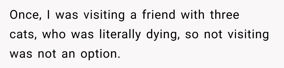 Woman Gets A Cat After Her Roommate Moves Out, But Her Friend Thinks She’s Being Inconsiderate, Who’s Right? Once, I was visiting a friend with three cats, who was literally dying, so not visiting was not an option.
