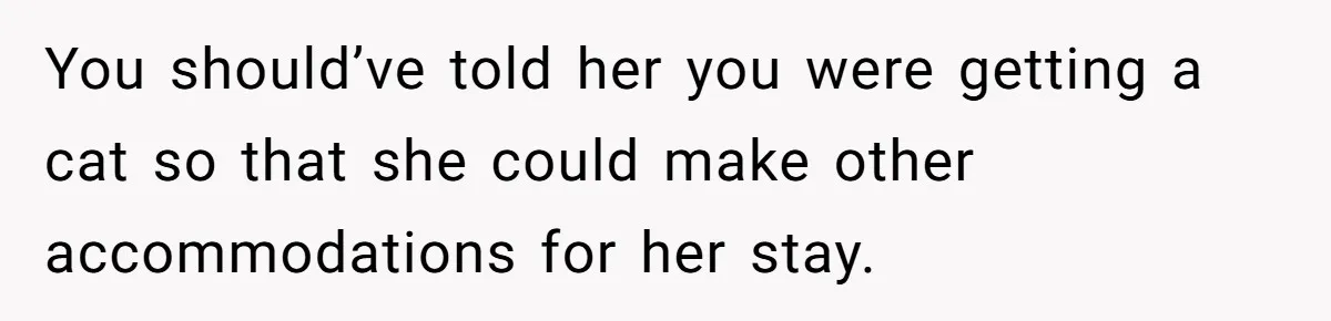 Woman Gets A Cat After Her Roommate Moves Out, But Her Friend Thinks She’s Being Inconsiderate, Who’s Right? You should’ve told her you were getting a cat so that she could make other accommodations for her stay.
