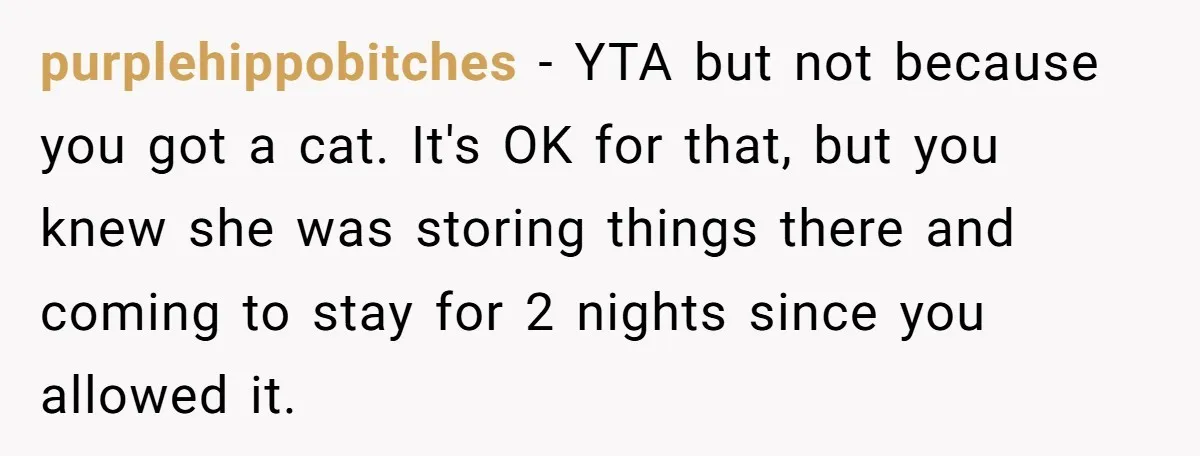 Woman Gets A Cat After Her Roommate Moves Out, But Her Friend Thinks She’s Being Inconsiderate, Who’s Right? purplehippobitches − YTA but not because you got a cat. It's OK for that, but you knew she was storing things there and coming to stay for 2 nights since...