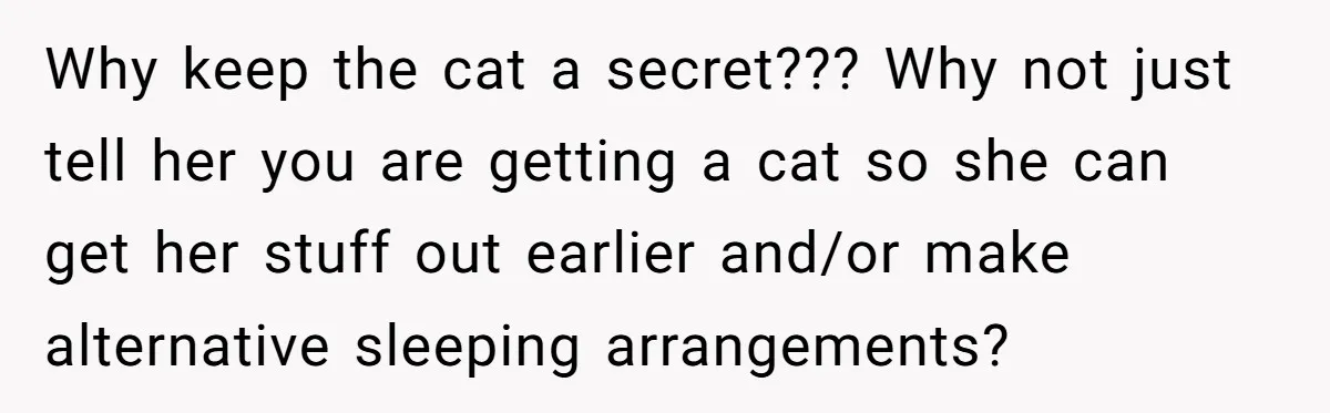 Woman Gets A Cat After Her Roommate Moves Out, But Her Friend Thinks She’s Being Inconsiderate, Who’s Right? Why keep the cat a secret??? Why not just tell her you are getting a cat so she can get her stuff out earlier and/or make alternative sleeping arrangements?
