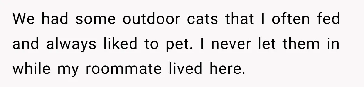 Woman Gets A Cat After Her Roommate Moves Out, But Her Friend Thinks She’s Being Inconsiderate, Who’s Right? We had some outdoor cats that I often fed and always liked to pet. I never let them in while my roommate lived here.