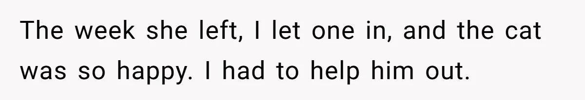 Woman Gets A Cat After Her Roommate Moves Out, But Her Friend Thinks She’s Being Inconsiderate, Who’s Right? The week she left, I let one in, and the cat was so happy. I had to help him out.