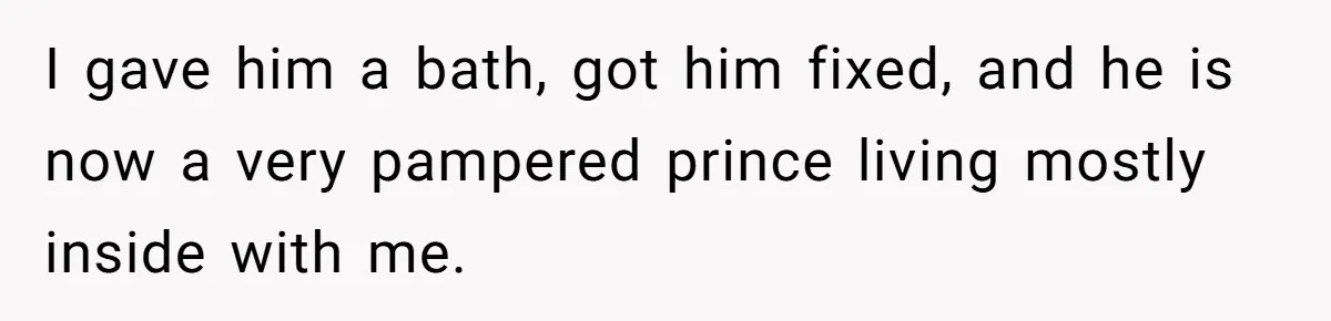 Woman Gets A Cat After Her Roommate Moves Out, But Her Friend Thinks She’s Being Inconsiderate, Who’s Right? I gave him a bath, got him fixed, and he is now a very pampered prince living mostly inside with me.