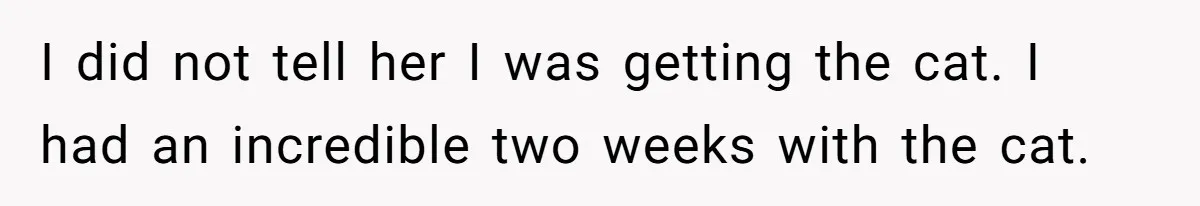 Woman Gets A Cat After Her Roommate Moves Out, But Her Friend Thinks She’s Being Inconsiderate, Who’s Right? I did not tell her I was getting the cat. I had an incredible two weeks with the cat.