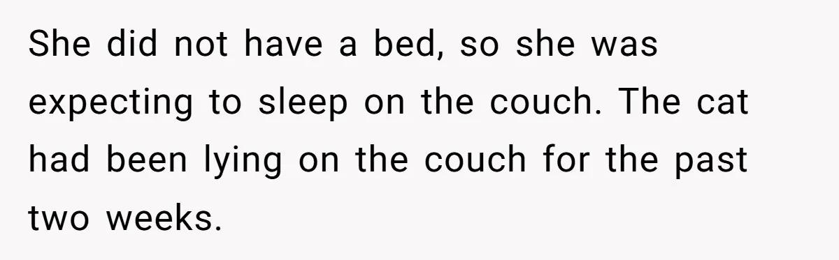 Woman Gets A Cat After Her Roommate Moves Out, But Her Friend Thinks She’s Being Inconsiderate, Who’s Right? She did not have a bed, so she was expecting to sleep on the couch. The cat had been lying on the couch for the past two weeks.