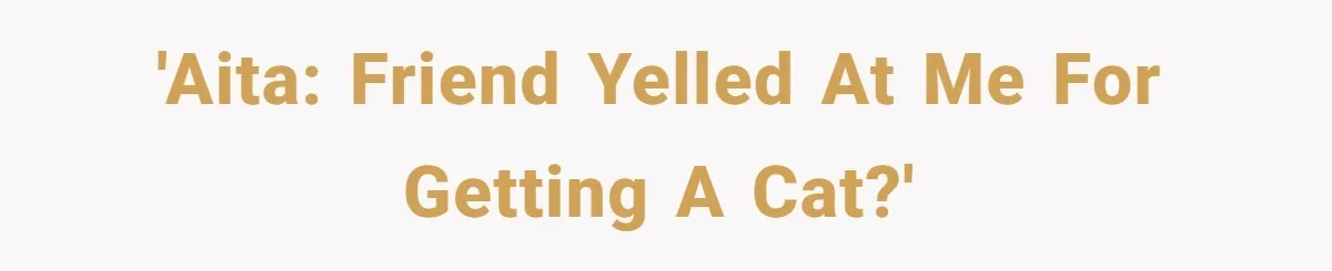 Woman Gets A Cat After Her Roommate Moves Out, But Her Friend Thinks She’s Being Inconsiderate, Who’s Right? 'AITA: Friend yelled at me for getting a cat?'