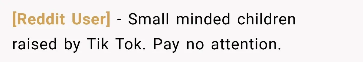 [Reddit User] − Small minded children raised by Tik Tok. Pay no attention.