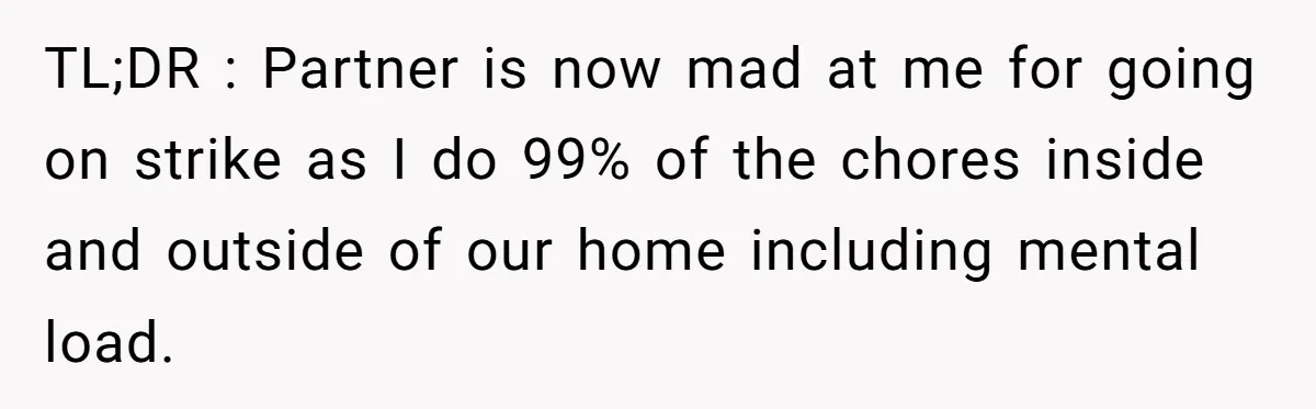 TL;DR : Partner is now mad at me for going on strike as I do 99% of the chores inside and outside of our home including mental load.