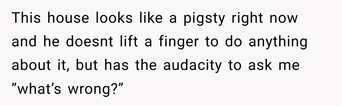 This house looks like a pigsty right now and he doesnt lift a finger to do anything about it, but has the audacity to ask me ”what’s wrong?”