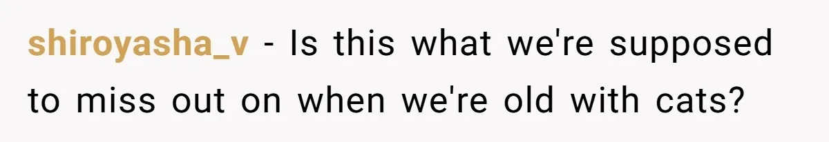 shiroyasha_v − Is this what we're supposed to miss out on when we're old with cats?