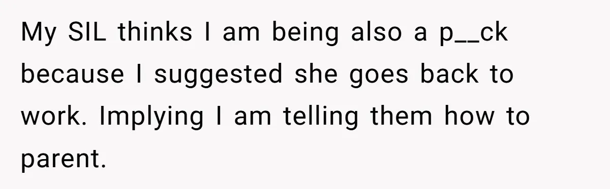 My SIL thinks I am being also a p__ck because I suggested she goes back to work. Implying I am telling them how to parent.