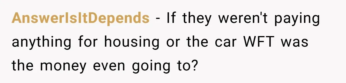 AnswerIsItDepends − If they weren't paying anything for housing or the car WFT was the money even going to?