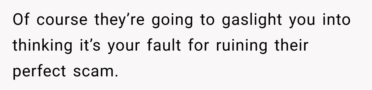 Of course they’re going to gaslight you into thinking it’s your fault for ruining their perfect scam.