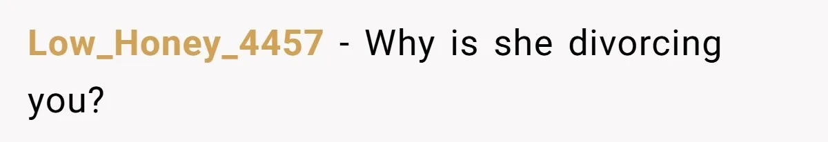 Low_Honey_4457 − Why is she divorcing you?