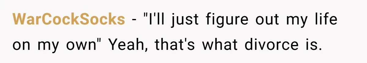 WarCockSocks − "I'll just figure out my life on my own" Yeah, that's what divorce is.