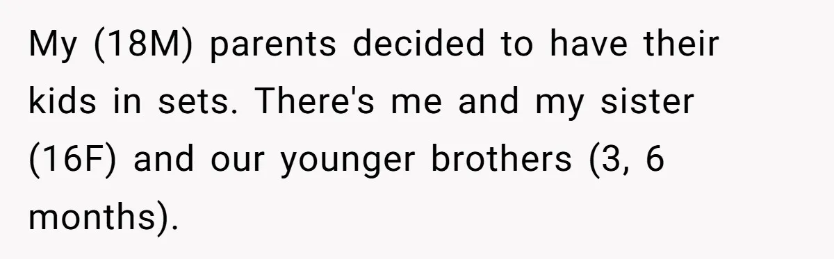 My (18M) parents decided to have their kids in sets. There's me and my sister (16F) and our younger brothers (3, 6 months).