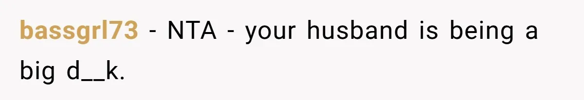 bassgrl73 − NTA - your husband is being a big d__k.